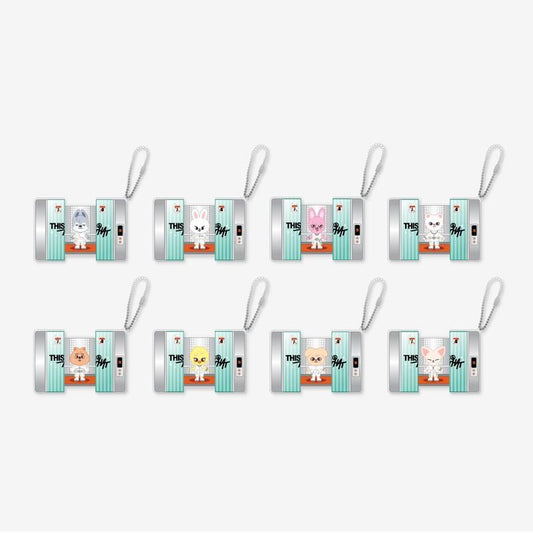 Stray Kids SKZOO Capsule Acrylic Keyring This & That