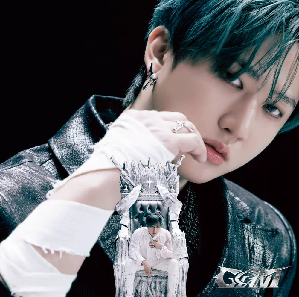 Stray Kids - Giant Fanclub edition (member version) album